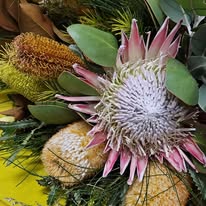 Natural Natives