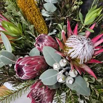 Natural Natives