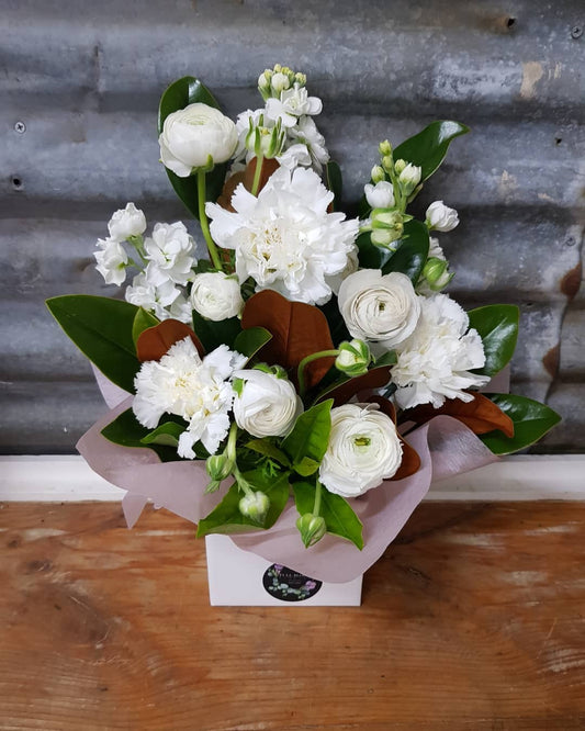 White Delight